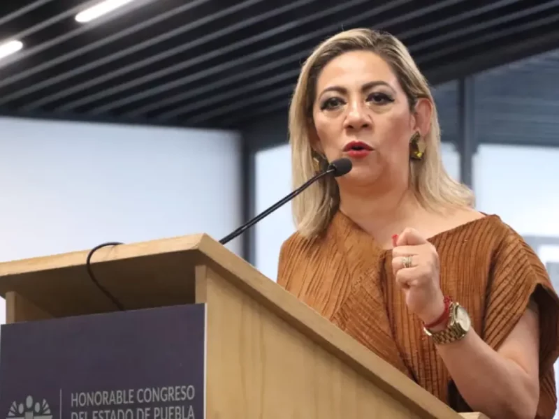 Participación ciudadana, la forma correcta de legislar: Laura Artemisa