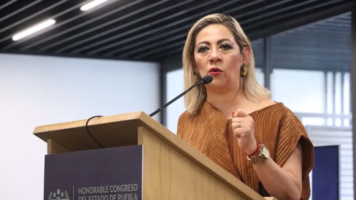 Participación ciudadana, la forma correcta de legislar: Laura Artemisa