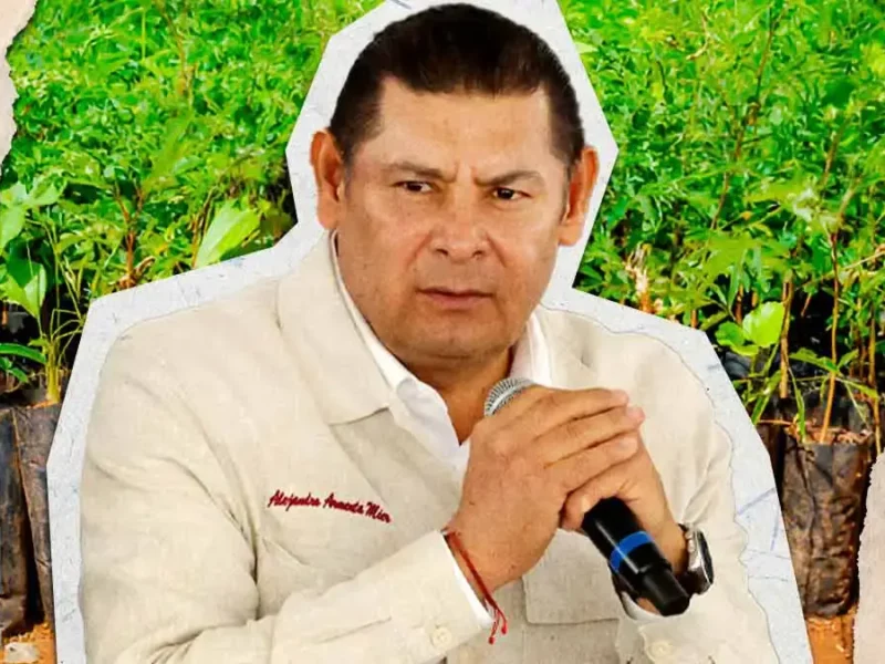 Gobierno de Puebla lanza licitación para adquirir árboles y plantas frutales de programa de reforestación