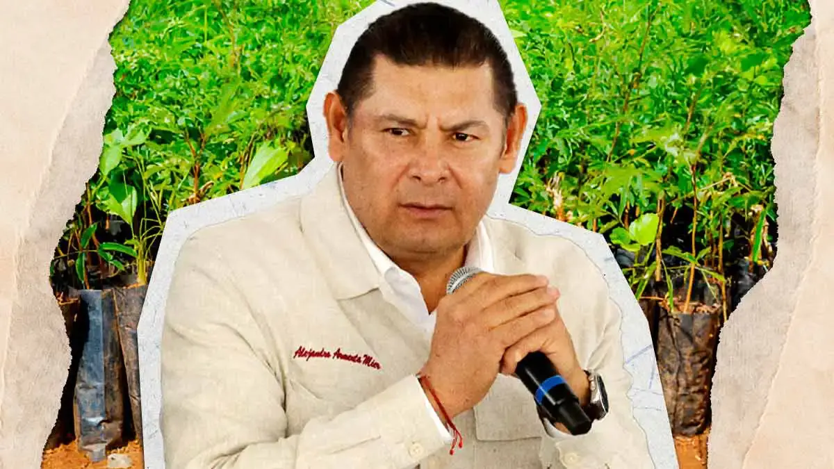 Gobierno de Puebla lanza licitación para adquirir árboles y plantas frutales de programa de reforestación