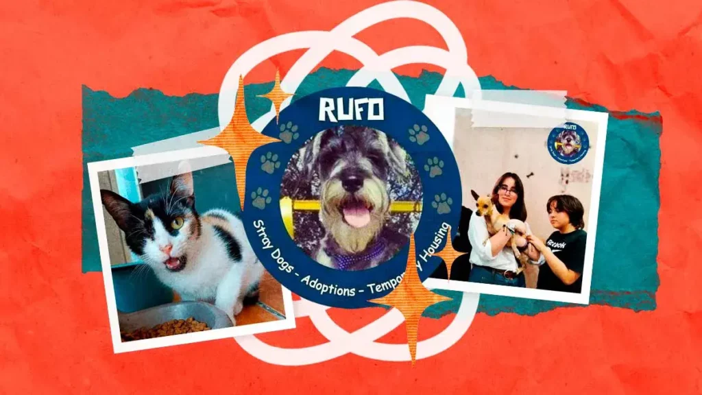 Asociación Rufo lleva más de diez años dedicándose al rescate de animales en Puebla