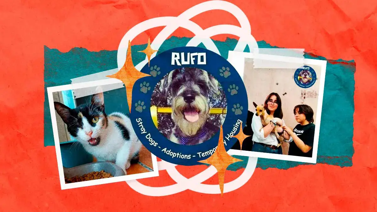 Asociación Rufo lleva más de diez años dedicándose al rescate de animales en Puebla