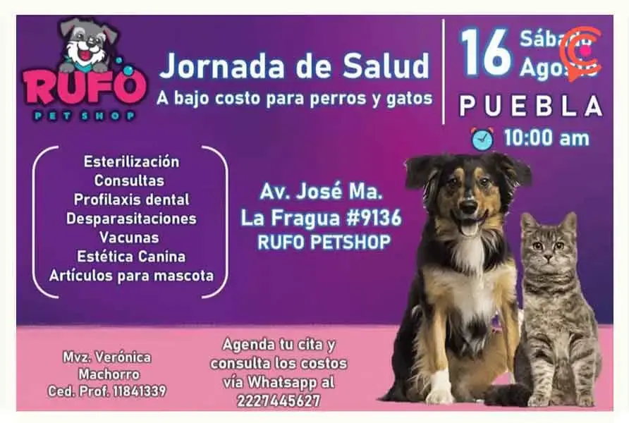 Asociación Rufo lleva más de diez años dedicándose al rescate de animales en Puebla