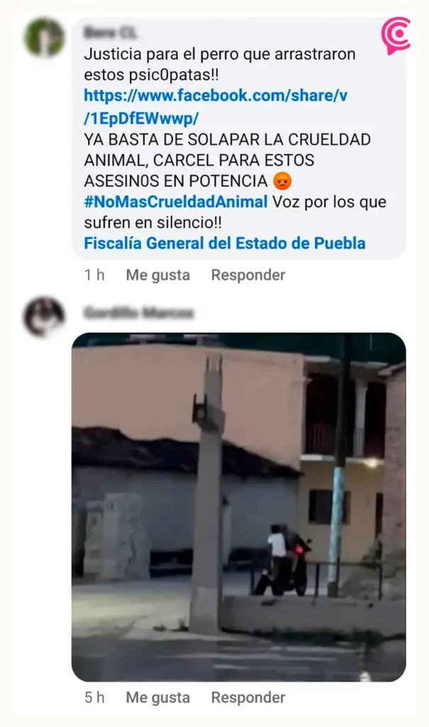 Regidor auxiliar de Chiautla de Tapia en Puebla, arrastró a un perro con su motocicleta