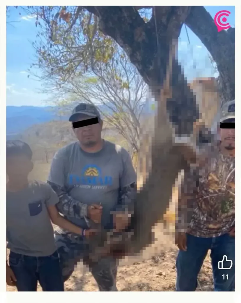 Regidor de Puebla señalado por crueldad animal, caza ilegal y uso de armas del Ejército