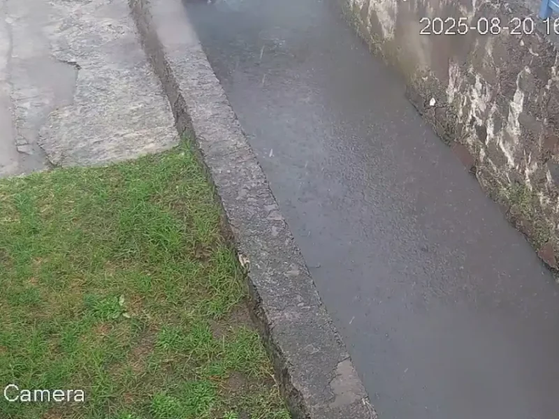 Monitoreo hidrológico preventivo: Alseseca, Atoyac y vasos reguladores operan hasta ahora con normalidad