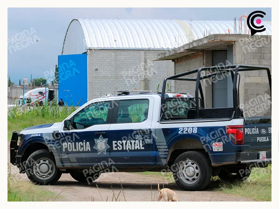 Tráiler robado con mariscos en Puebla es hallado en Tlaxcala; intentaban descargar en bodega clandestina