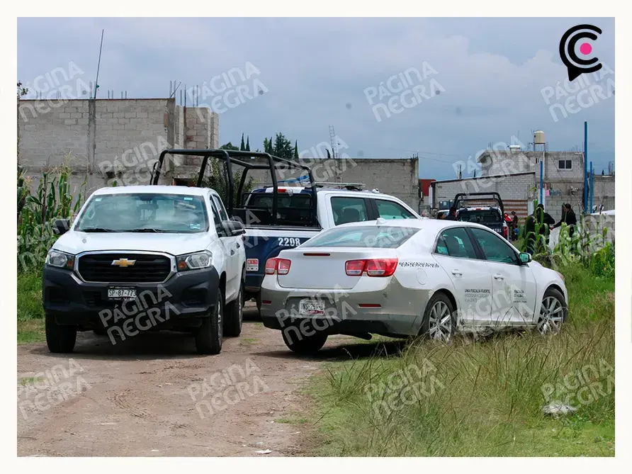 Tráiler robado con mariscos en Puebla es hallado en Tlaxcala; intentaban descargar en bodega clandestina