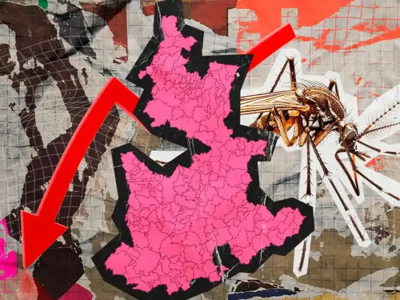 En Puebla bajaron 89% los contagios de dengue; hay 172 casos hasta agosto 2025