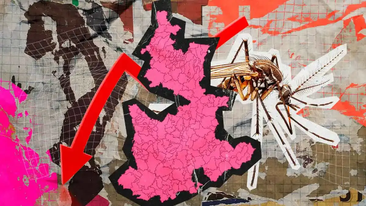 En Puebla bajaron 89% los contagios de dengue; hay 172 casos hasta agosto 2025