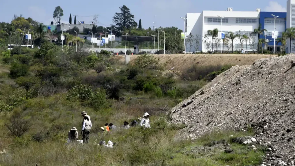 Imparte Herpetario de la FCB capacitación para manejo de organismos vivos en CU2