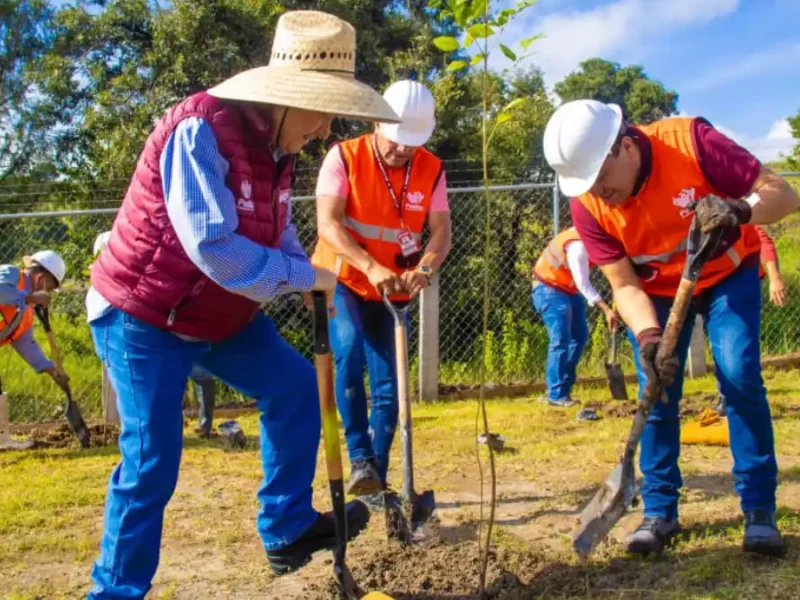 Gobierno de la Ciudad realiza acciones de producción de composta para reforestación en Puebla