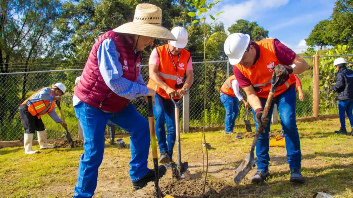 Gobierno de la Ciudad realiza acciones de producción de composta para reforestación en Puebla