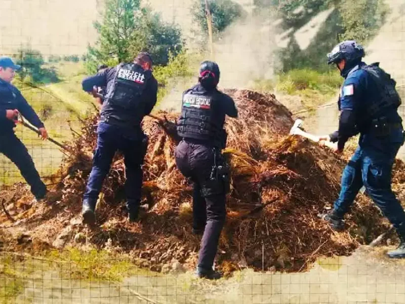 Gobierno de Puebla destruyó 11 hornos clandestinos de madera en San Miguel Canoa