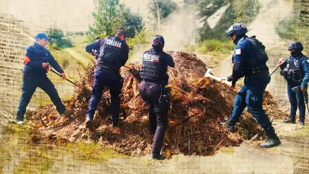 Gobierno de Puebla destruyó 11 hornos clandestinos de madera en San Miguel Canoa