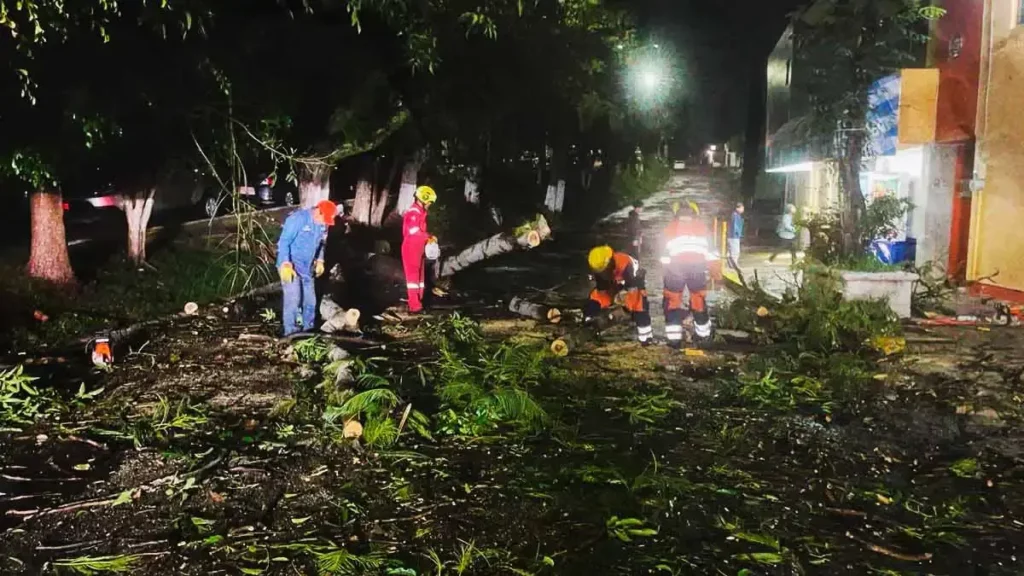 Lluvias del 3 de septiembre dejaron dos árboles caídos en Puebla capital; continuarán las precipitaciones