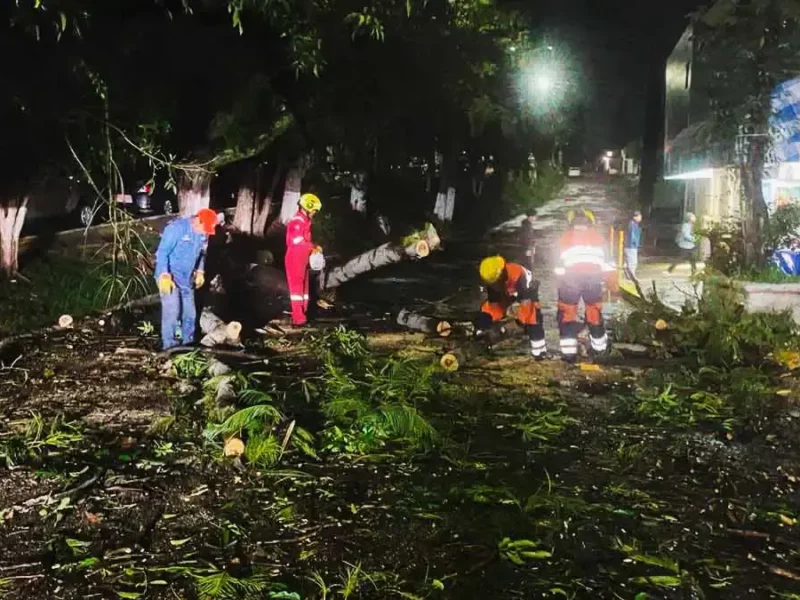 Lluvias del 3 de septiembre dejaron dos árboles caídos en Puebla capital; continuarán las precipitaciones