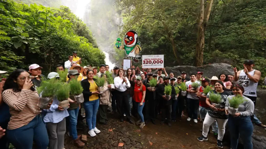 Zacatlán concluye temporada de reforestación 2025; cumplió meta de 320 mil árboles plantados