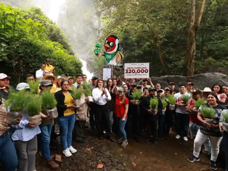 Zacatlán concluye temporada de reforestación 2025; cumplió meta de 320 mil árboles plantados