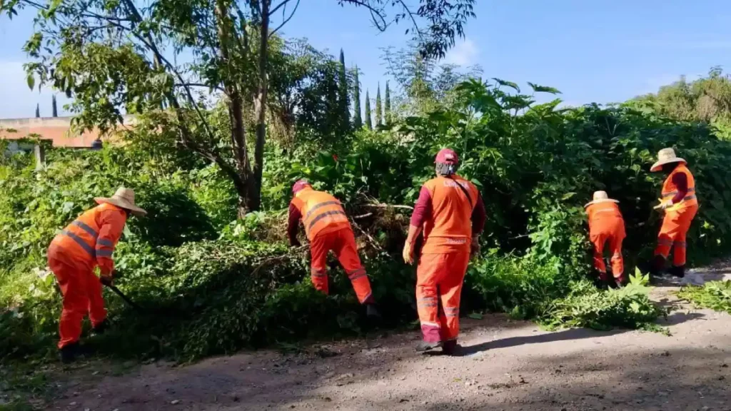 Realiza Gobierno de la Ciudad limpieza de alcantarillas en la Central de Abasto, en temporada de lluvias