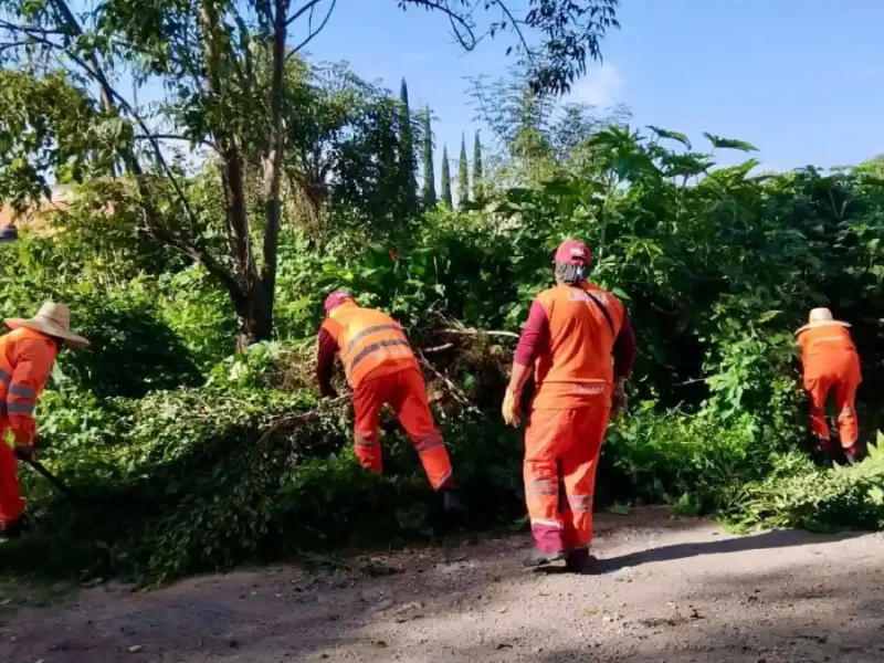 Realiza Gobierno de la Ciudad limpieza de alcantarillas en la Central de Abasto, en temporada de lluvias