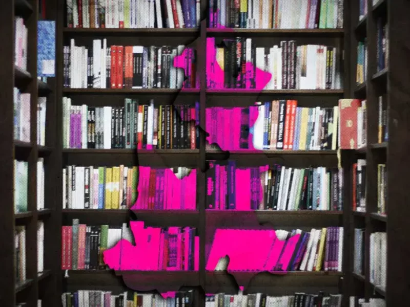 Con 615 bibliotecas públicas, Puebla es segundo lugar nacional con más de estos espacios