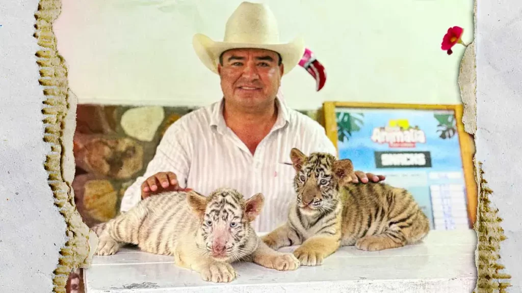 Olimpia Coral expone explotación animal en parque de Xicotepec; acusa al alcalde de lucrar con crías
