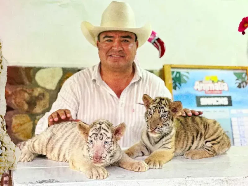Olimpia Coral expone explotación animal en parque de Xicotepec; acusa al alcalde de lucrar con crías