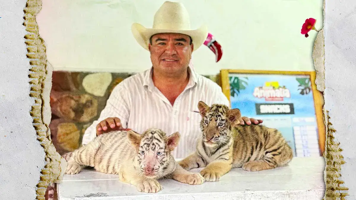 Olimpia Coral expone explotación animal en parque de Xicotepec; acusa al alcalde de lucrar con crías