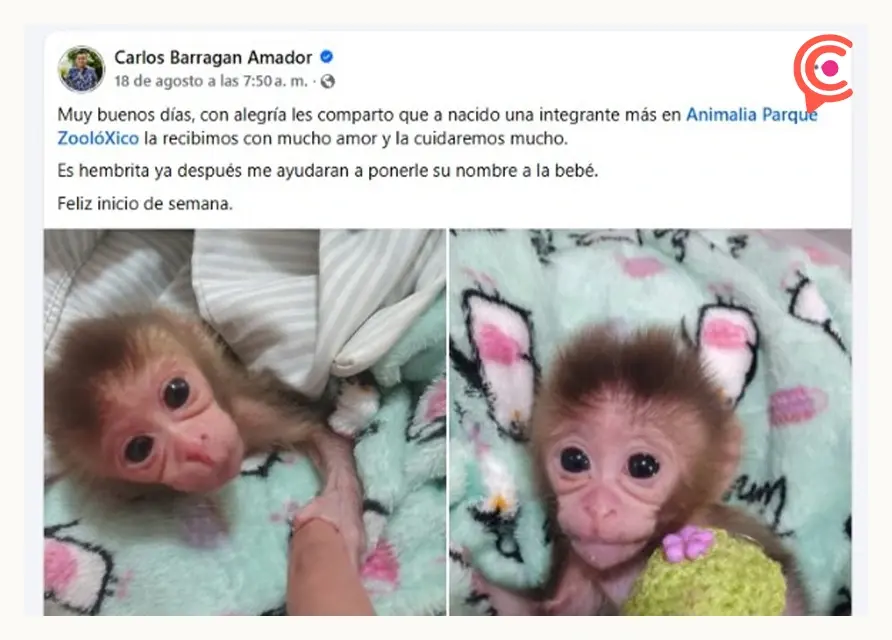 Olimpia Coral expone explotación animal en parque de Xicotepec; acusa al alcalde de lucrar con crías