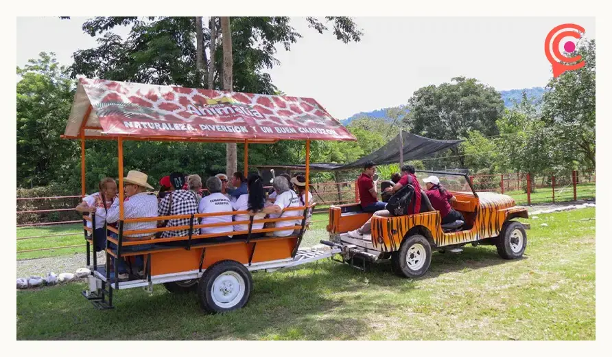 Olimpia Coral expone explotación animal en parque de Xicotepec; acusa al alcalde de lucrar con crías