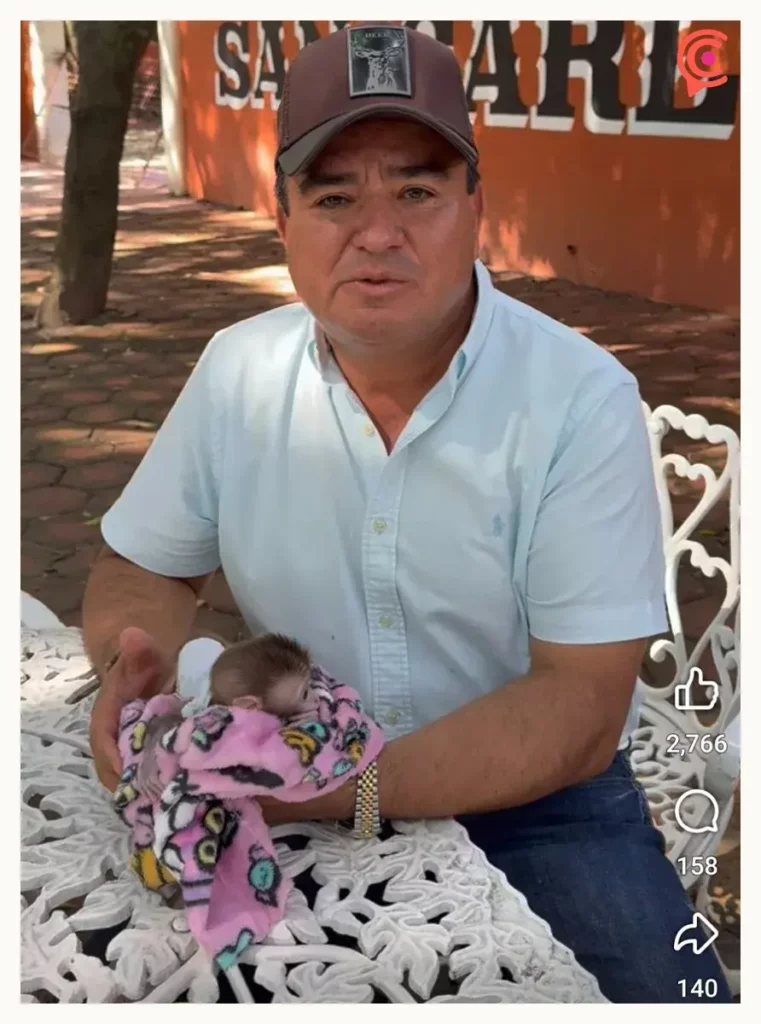 Olimpia Coral expone explotación animal en parque de Xicotepec; acusa al alcalde de lucrar con crías