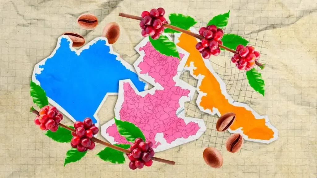 Puebla, Chiapas y Veracruz concentran el 90% de la producción de café en México