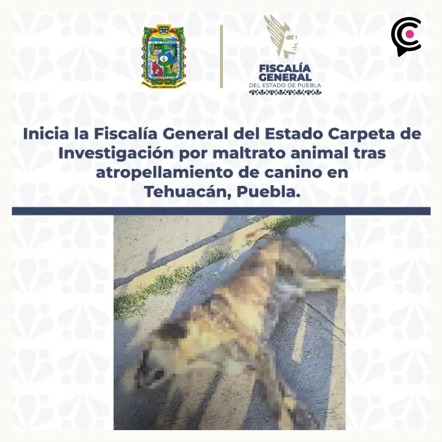 Fiscalía de Puebla abre carpeta de investigación por caso de maltrato animal en Tehuacán
