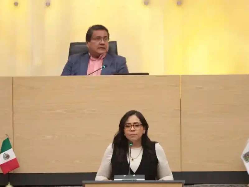 Proponen en el Congreso que ayuntamientos establezcan Unidades Municipales de Atención Forestal