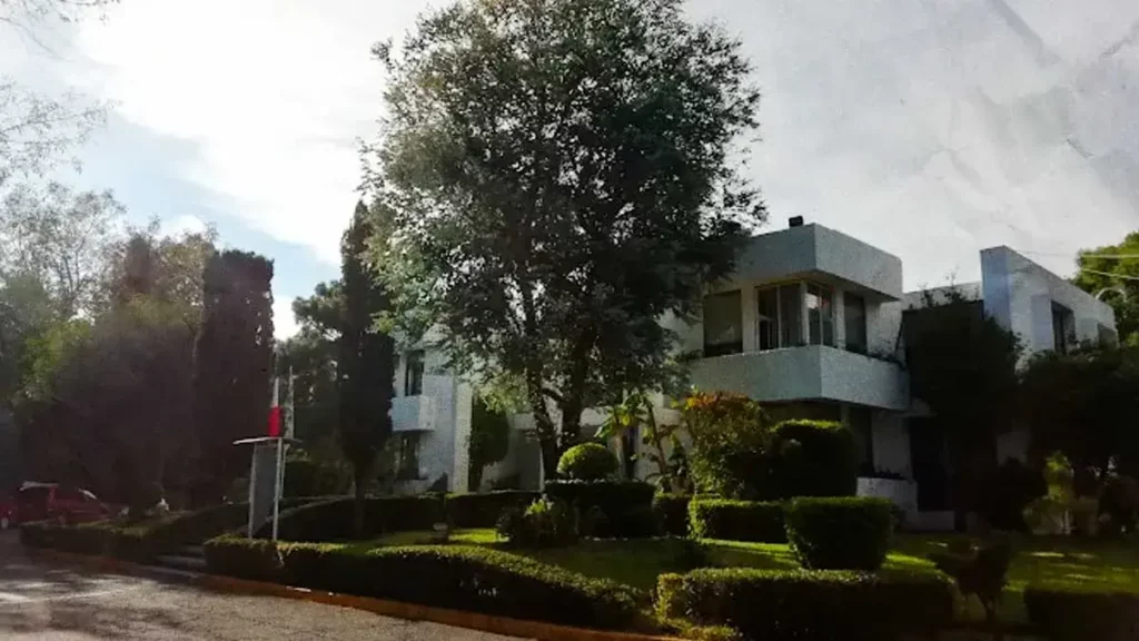 Instituto de Bienestar Animal Puebla apuesta por autonomía para mejorar atención y ampliar cobertura