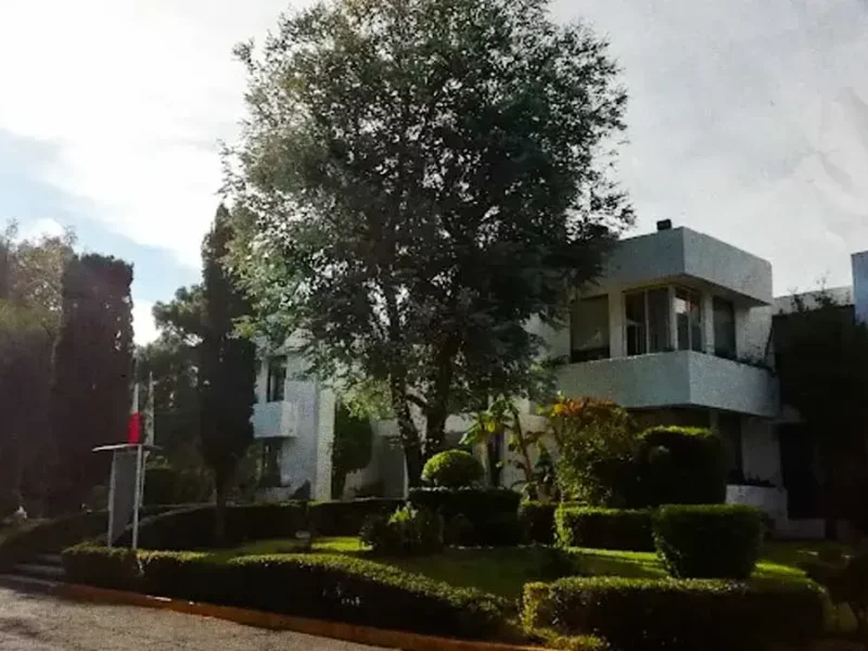 Instituto de Bienestar Animal Puebla apuesta por autonomía para mejorar atención y ampliar cobertura