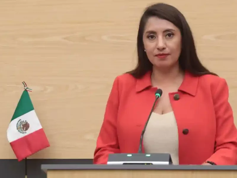 Impulsan en el Congreso exhorto para atender a animales en situación de calle