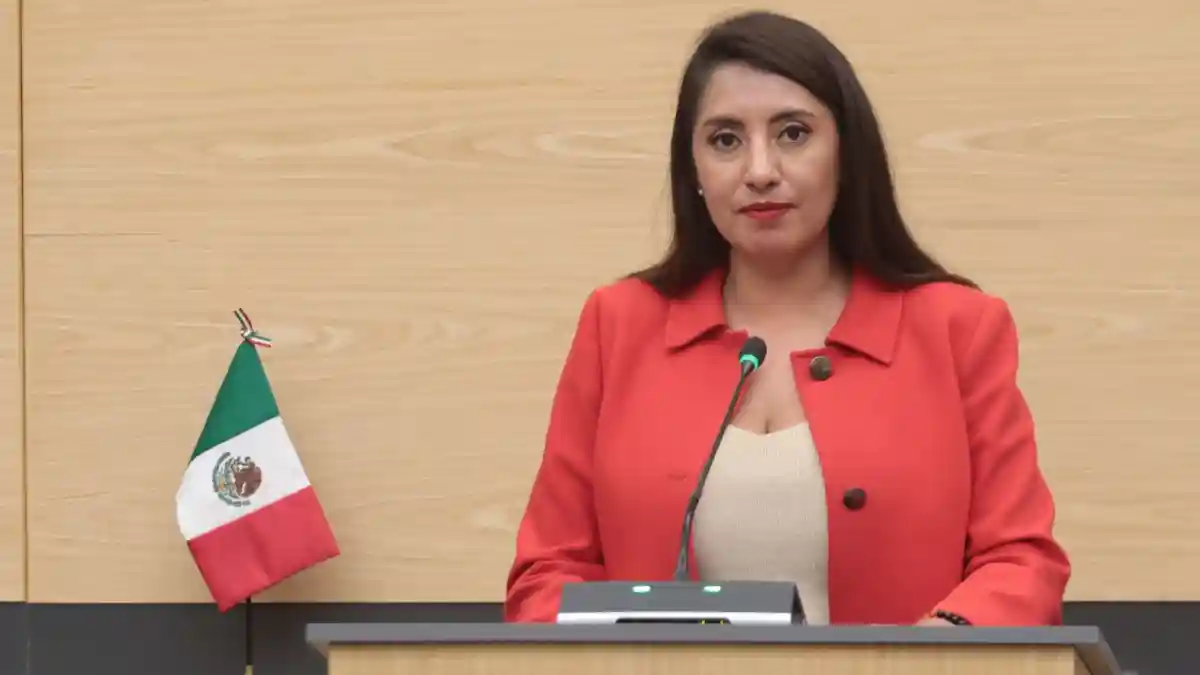 Impulsan en el Congreso exhorto para atender a animales en situación de calle