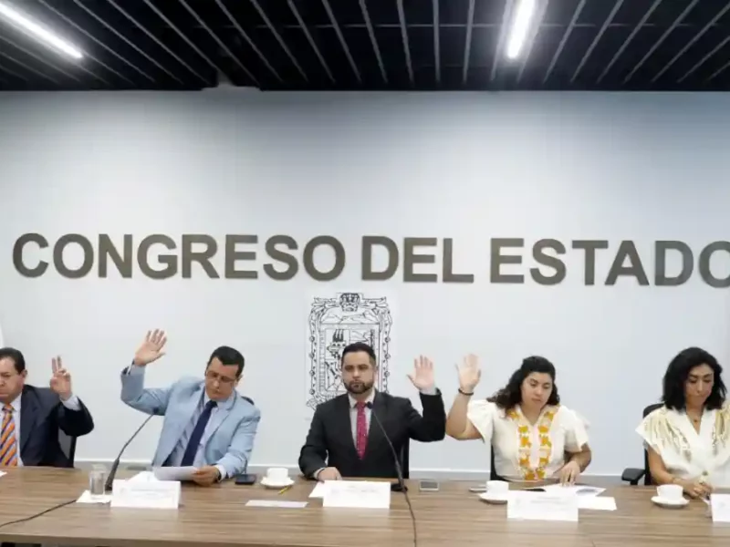 Avala Comisión del Congreso exhorto para destinar recursos al Sistema Estatal de Información Forestal