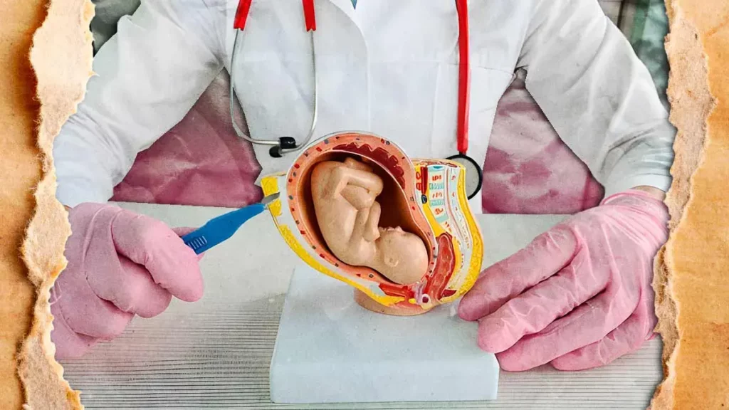 Puebla propone que médicos practiquen abortos urgentes, incluso con objeción de conciencia