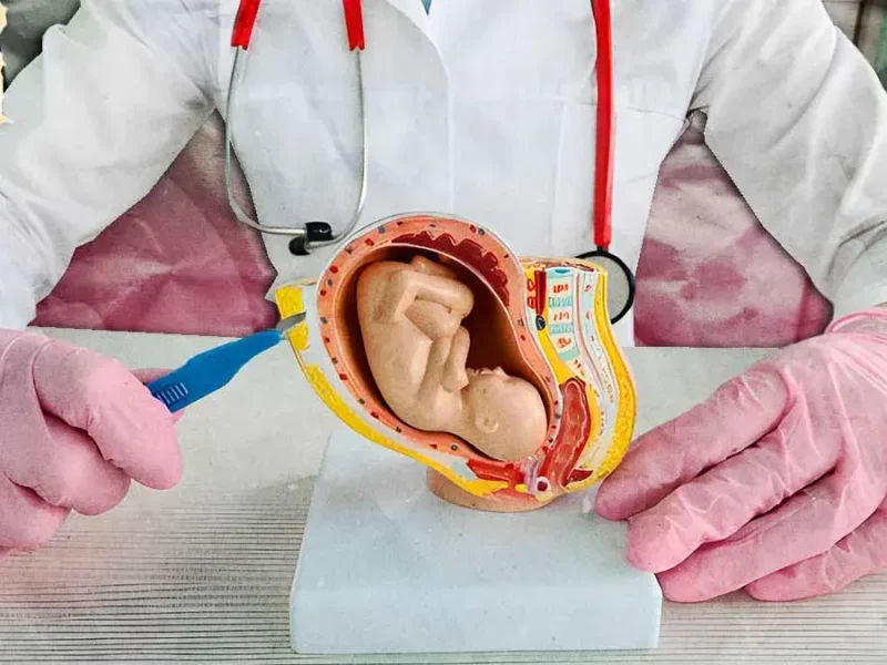 Puebla propone que médicos practiquen abortos urgentes, incluso con objeción de conciencia