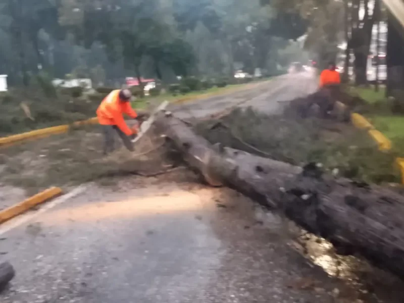 Activa Gobierno de la Ciudad protocolo de seguridad y limpieza urbana por lluvias