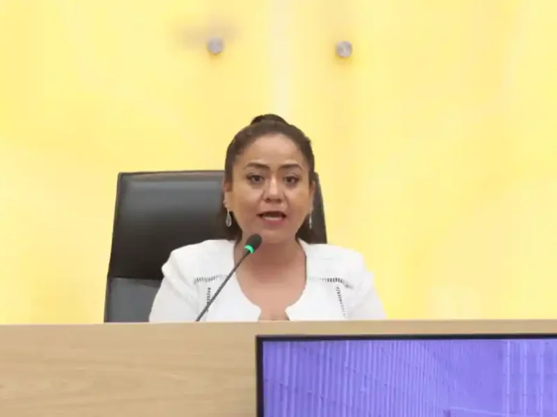 Urgente fortalecer prevención y atención de preeclampsia y eclampsia: Celia Bonaga Ruíz