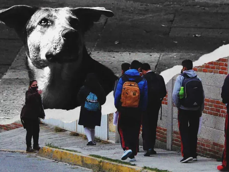Denuncian asesinato de un perro en bachillerato de Cuautlancingo