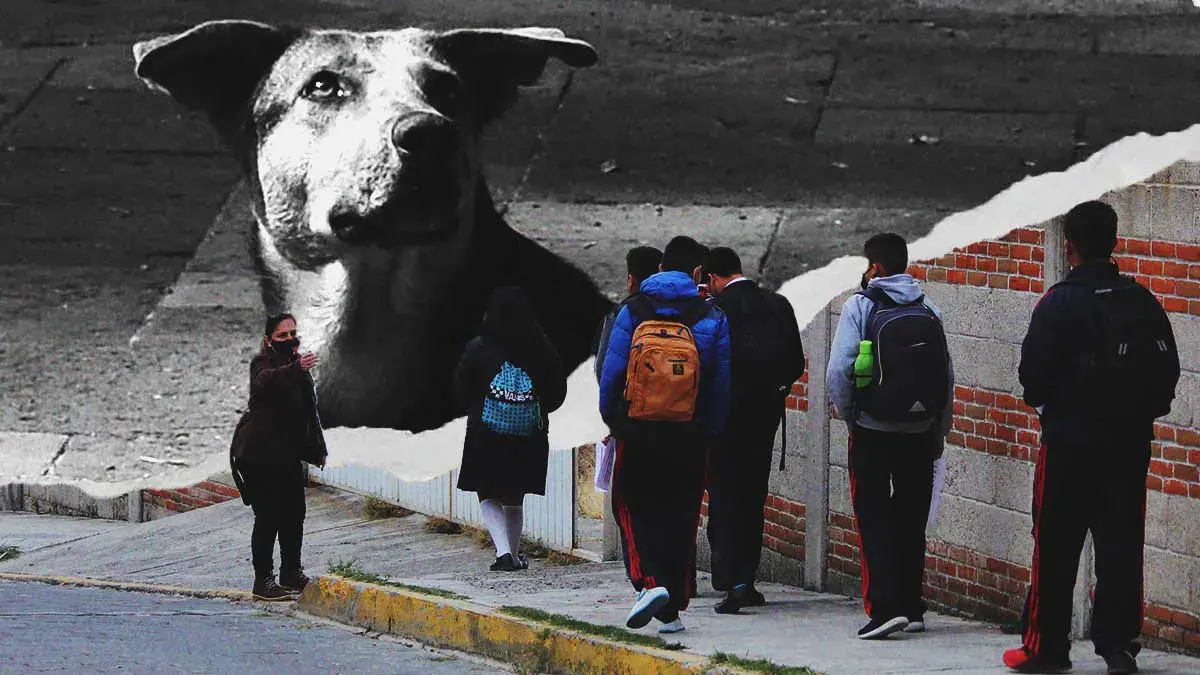 Denuncian asesinato de un perro en bachillerato de Cuautlancingo