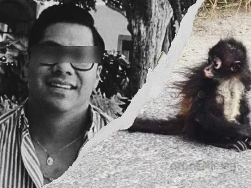 Localizan mono araña en Tecamachalco, era del empresario cuya cabeza fue hallada en Acatzingo