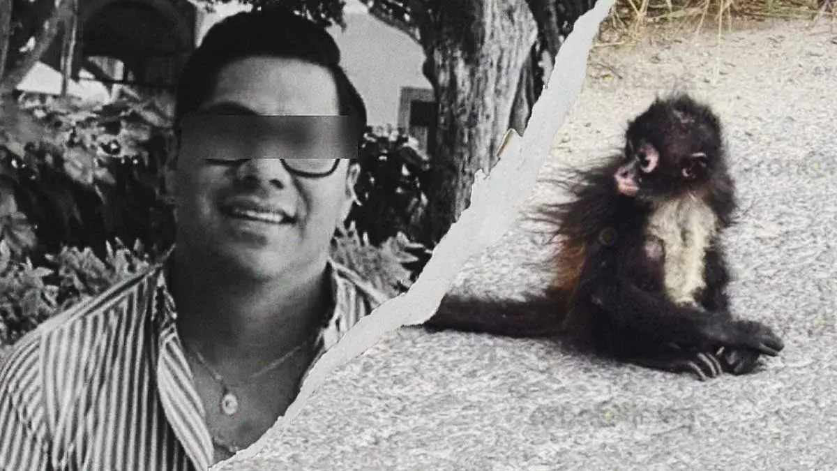 Localizan mono araña en Tecamachalco, era del empresario cuya cabeza fue hallada en Acatzingo