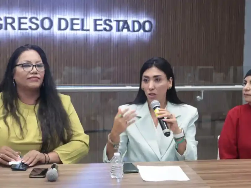 Promueve diputada Norma Pimentel reconocimiento de todas las personas en la Constitución