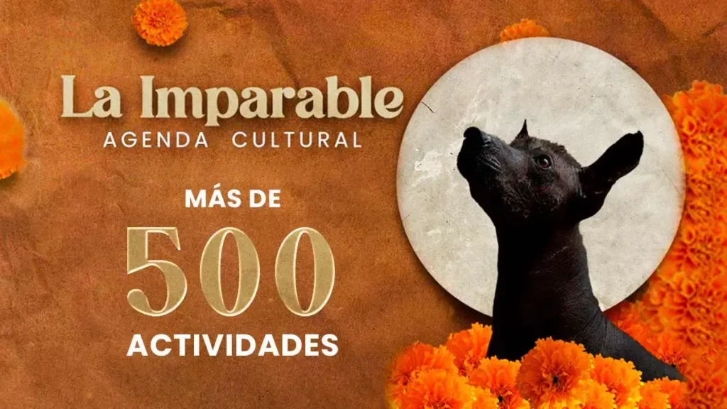 Presenta IMACP más de 500 actividades para octubre en la Agenda Cultural
